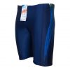 swim-shorts-blue-stripes