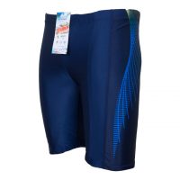 swim-shorts-blue-stripes